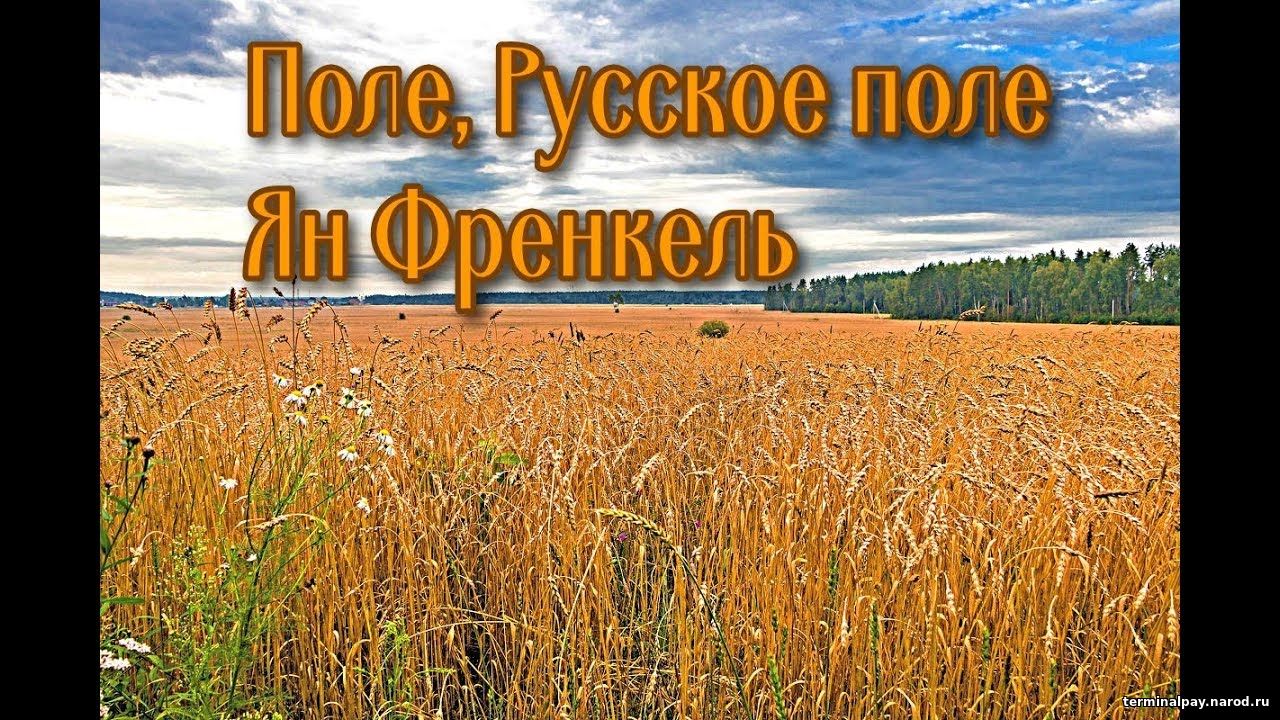 Русское поле песня. Поле Ян Френкель. Френкель поле русское поле. Ян Френкель поле русское поле. Русское поле в произведениях.